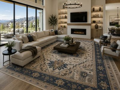 10 x 14 area rug