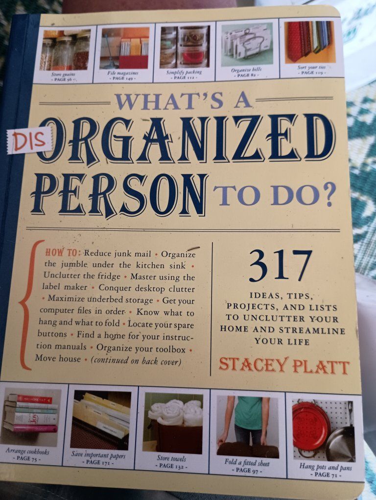 What's a Disorganized Person to Do? by Stacey Platt Non-Fiction Book