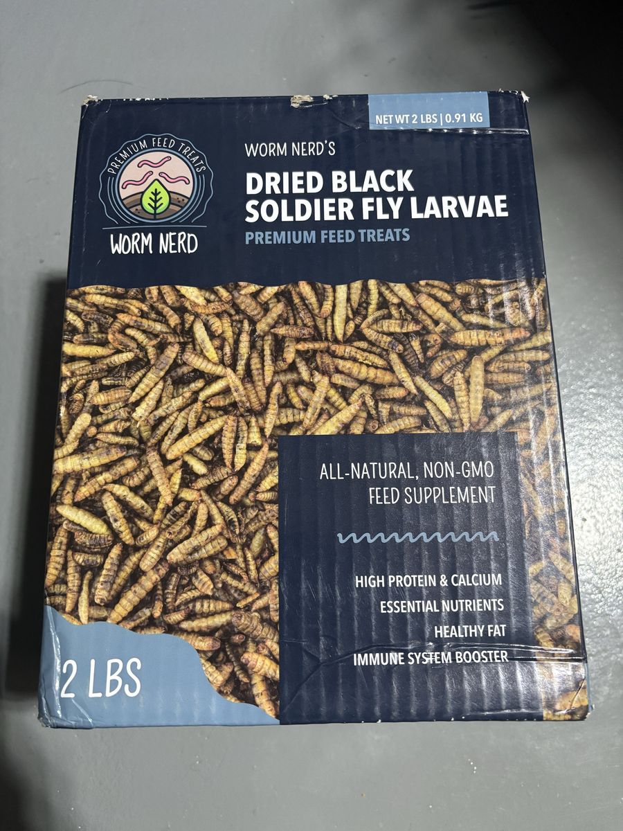 Dried Black soldier fly larvae