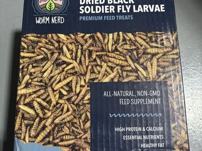 Dried Black soldier fly larvae