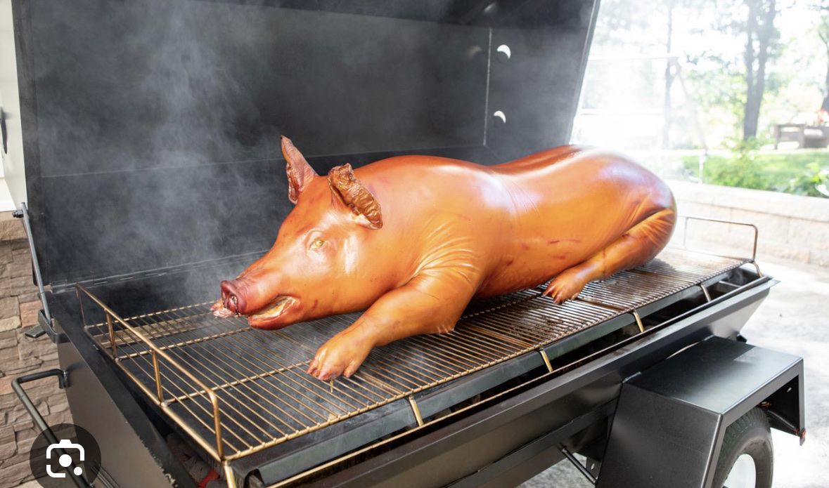 Roaster or Feeder Pig