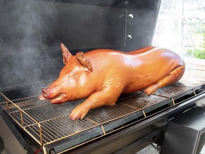 Roaster or Feeder Pig