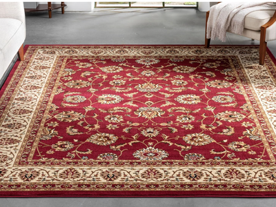 Brand New 6x9 Red Sarouk Rug – Thick & Beautiful!