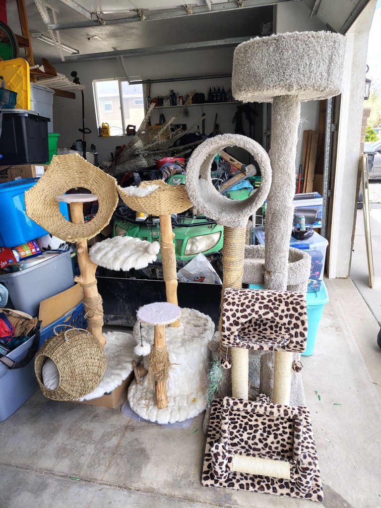 Cat houses