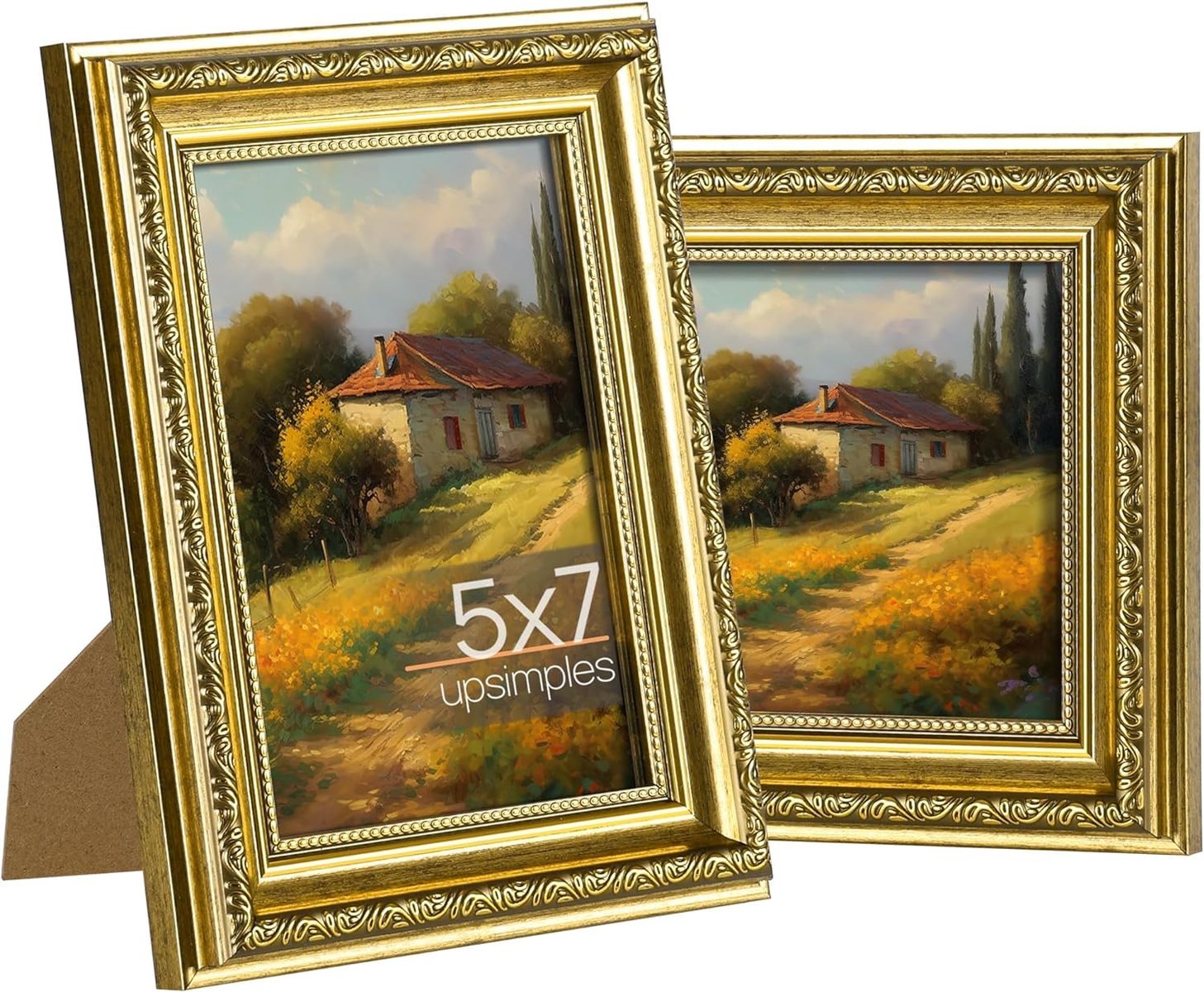 5x7 ornate picture frame - set of 2