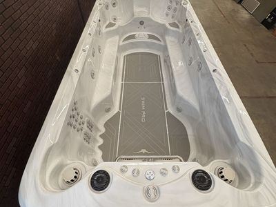 Fully loaded Cal spa swim pro 16 ft
