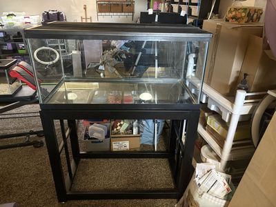 40 gallon aquarium