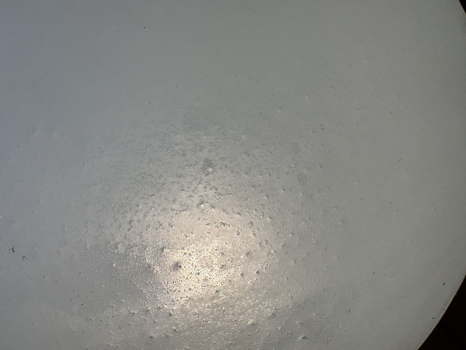 Main image 6