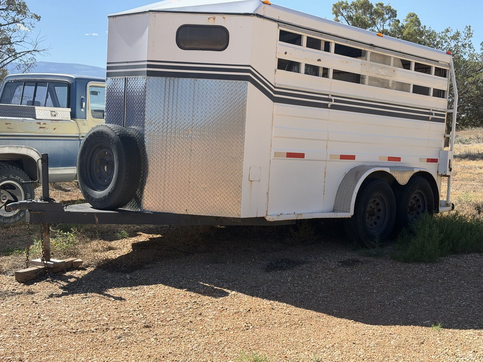 3 place bumper pull horse trailer