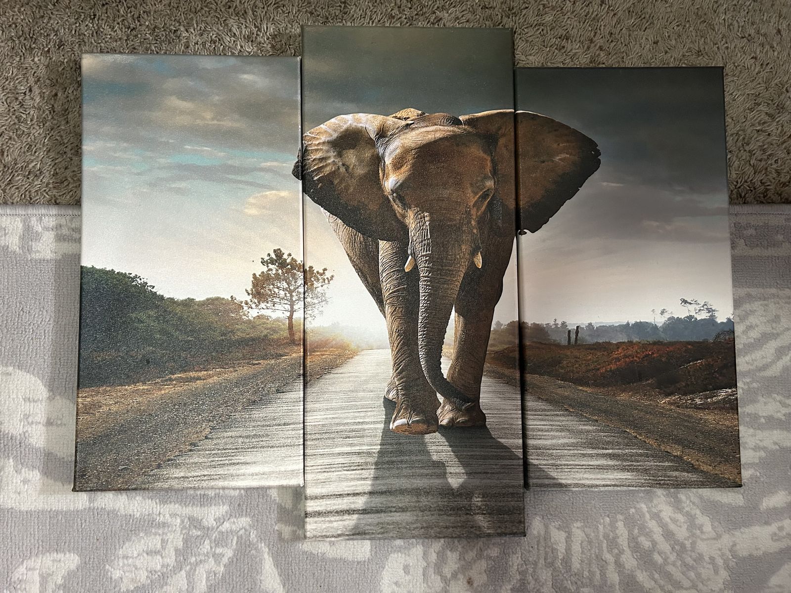 Elephant Paintings
