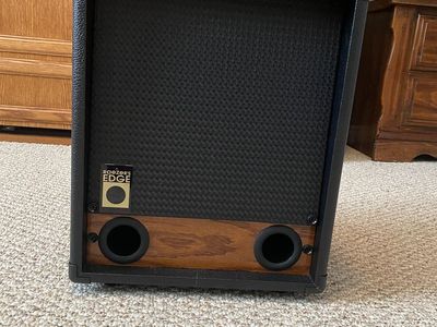 Raeser's Edge Guitar Speaker