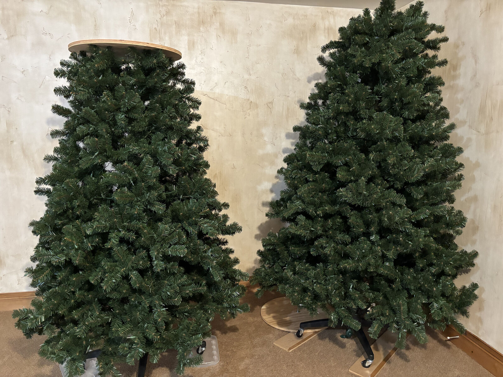 Christmas Trees