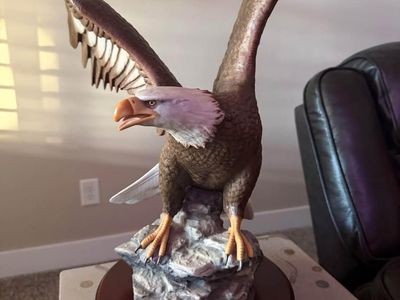 The Majestic American Eagle – Ronald Van Ruyckevelt First Edition
