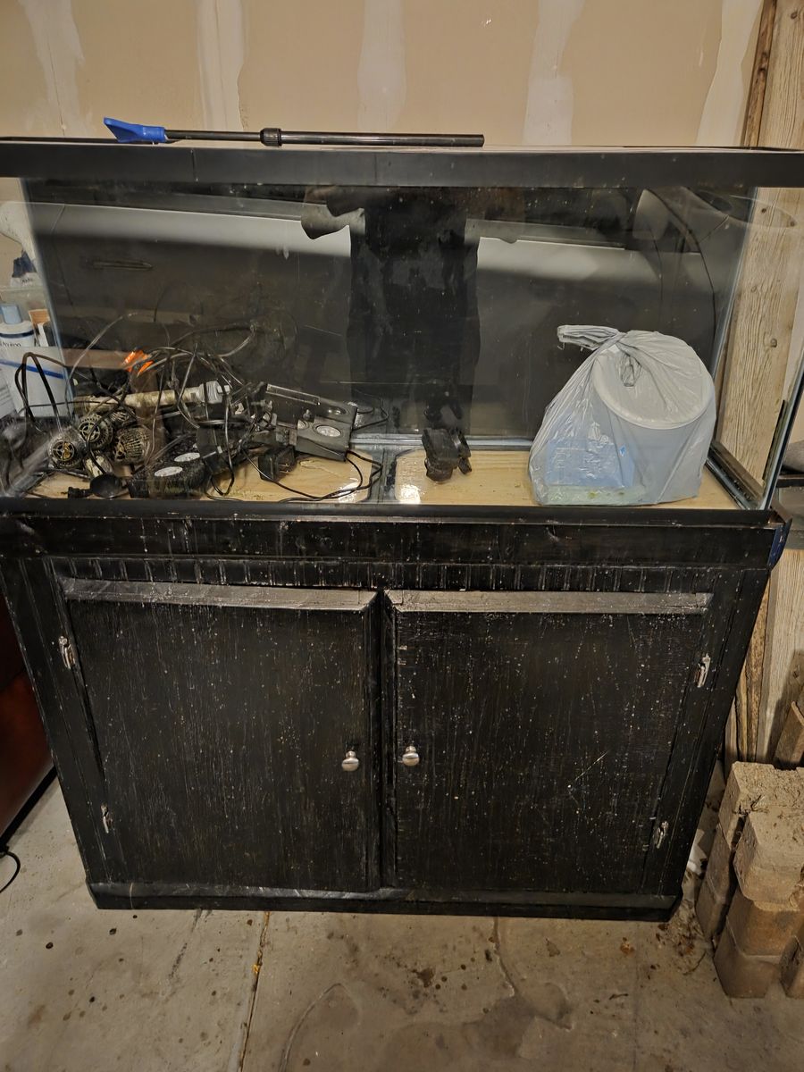 75 gallon aquarium, stand, 2 lights and 3 wave makers!