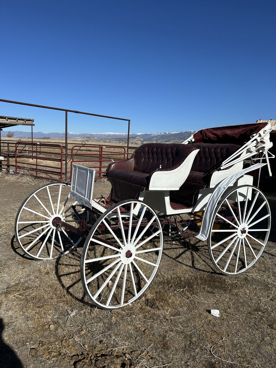 2 Seat Horse Drawn Buggy