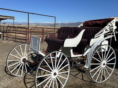 2 Seat Horse Drawn Buggy