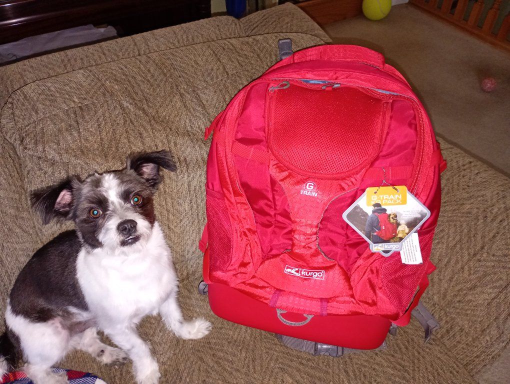 Kurgo G-Train K9 Pack Red Dog Carrier Backpack - New with Tags