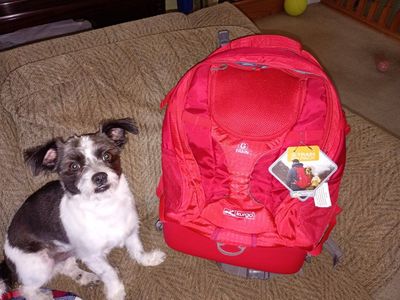 Kurgo G-Train K9 Pack Red Dog Carrier Backpack - New with Tags