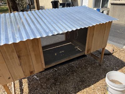 Quail Hutch / Coop - 2x6 ft with Mesh, Dropping Tray & Accessories - Houses ~12 Quail