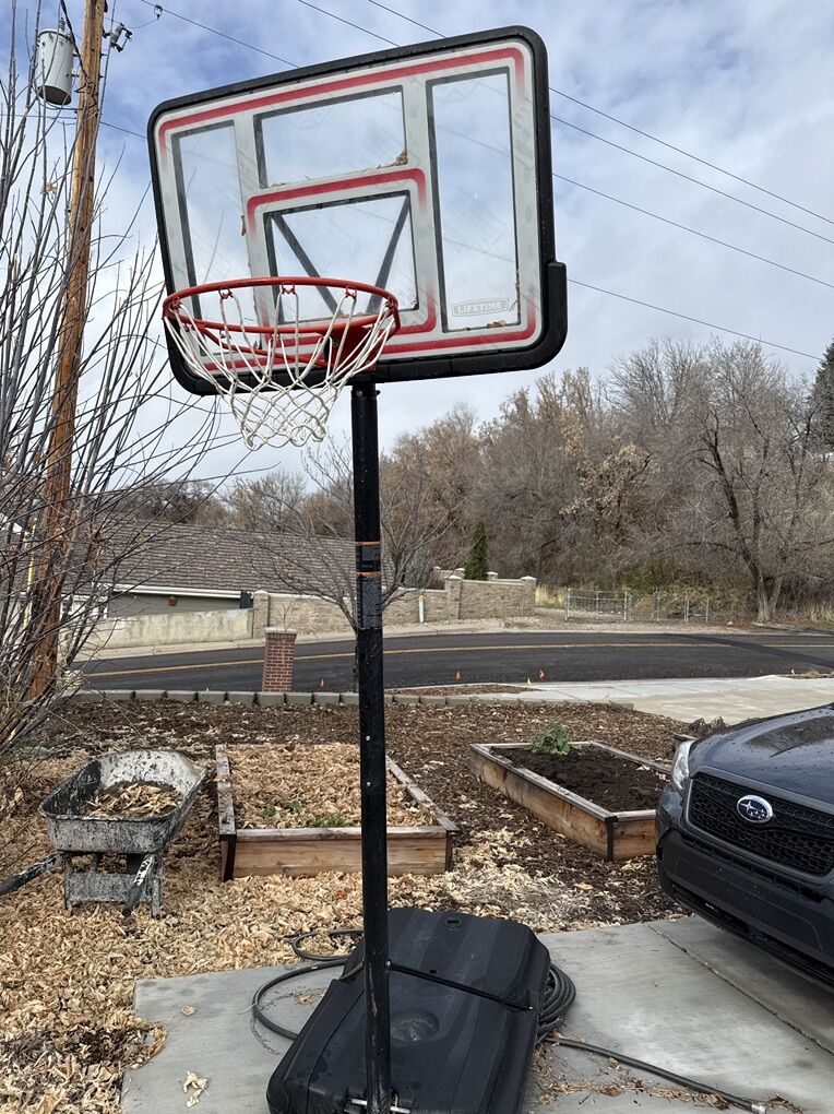 Lifetime Adjustable Height Basketball Hoop $50