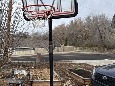 Lifetime Adjustable Height Basketball Hoop $50