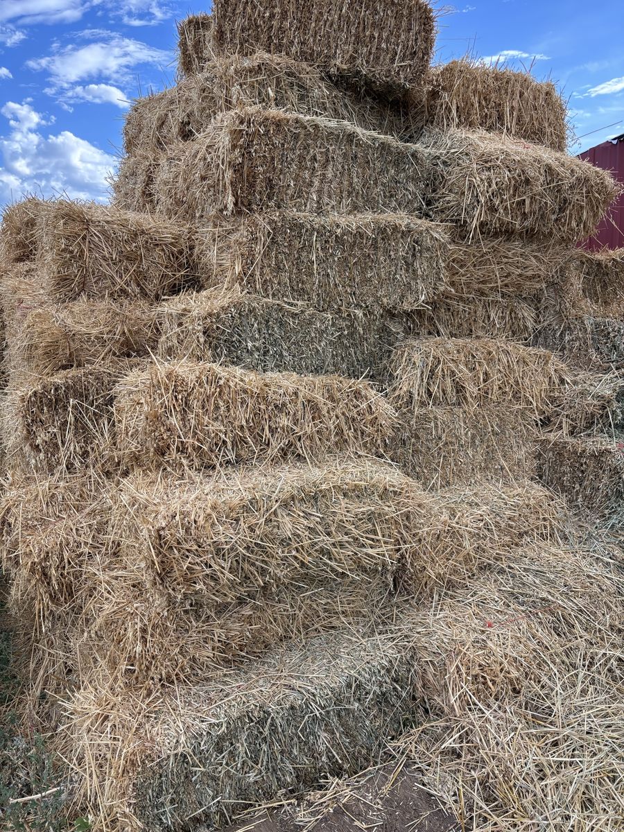Oat hay