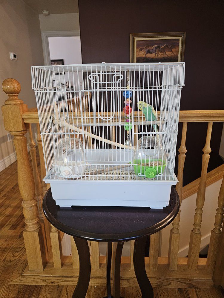 Main image 3