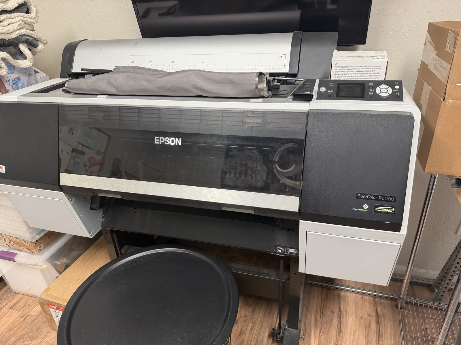 Epson P6000