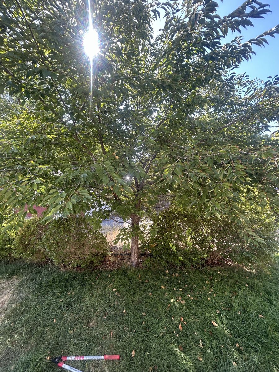 Main image 13