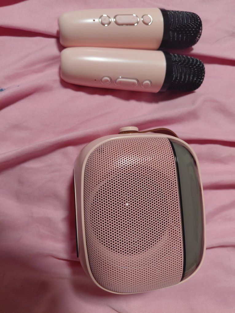 Portable Karaoke Machine with Speaker and 2 Wireless Microphones - Pink, Compact Design