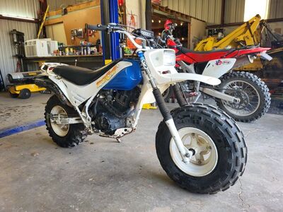 Honda Fatcat TR200