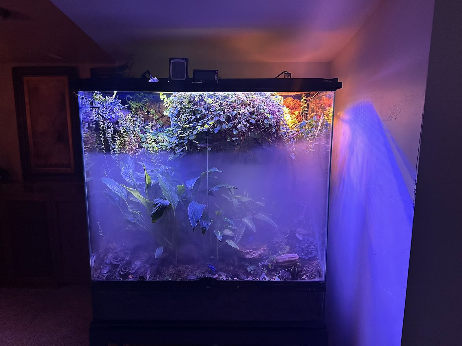 Main image 5