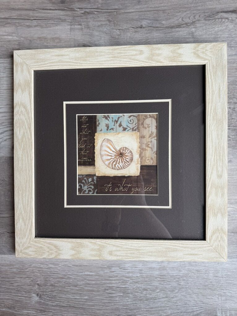Seashell Framed Wall Art