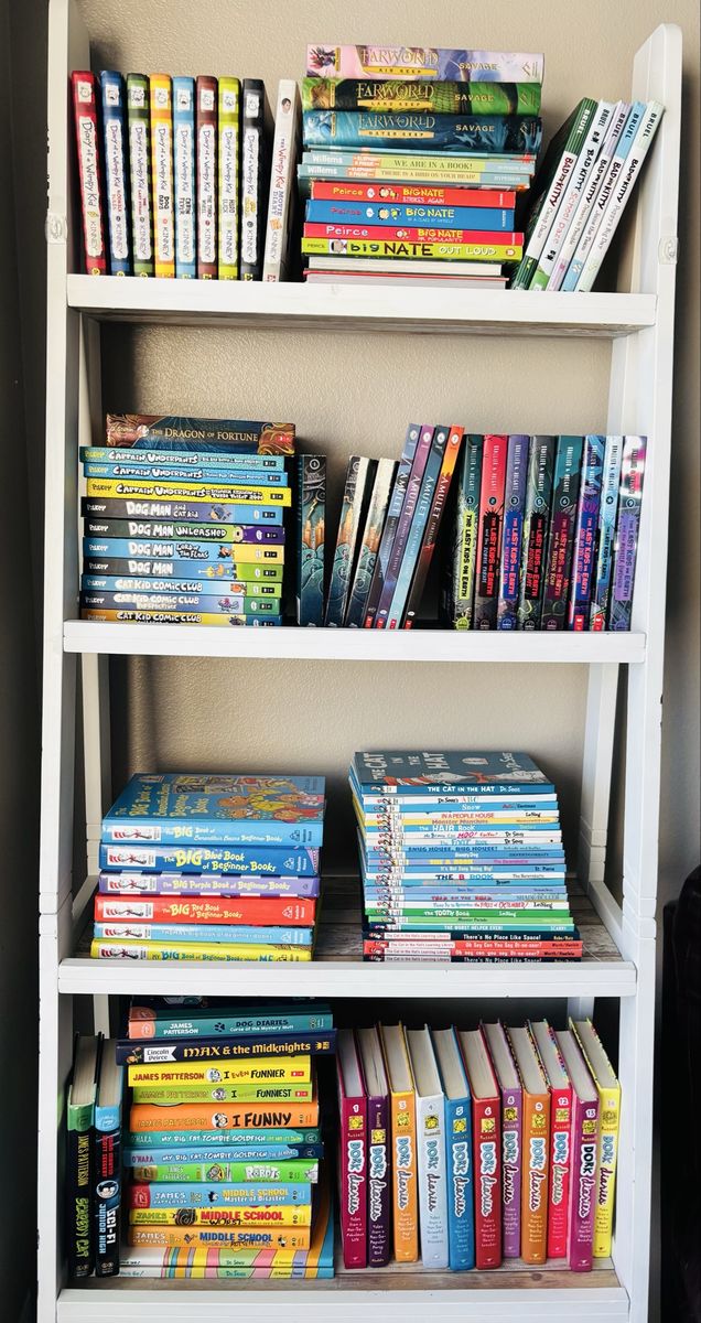 Dog Man, Vimpy Kid, Dr Seuss, Last Kid on Earth & more books