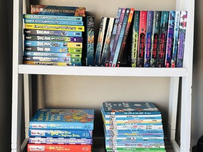 Dog Man, Vimpy Kid, Dr Seuss, Last Kid on Earth & more books