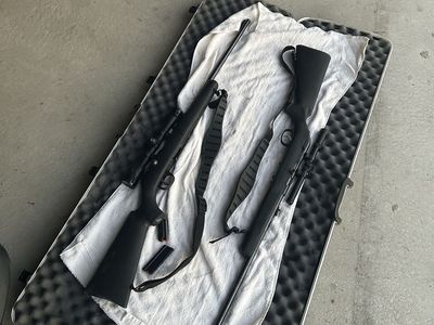 Two .22 rifles Marlin Bolt and Savage Semi Auto with case
