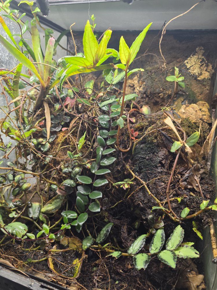 Main image 3