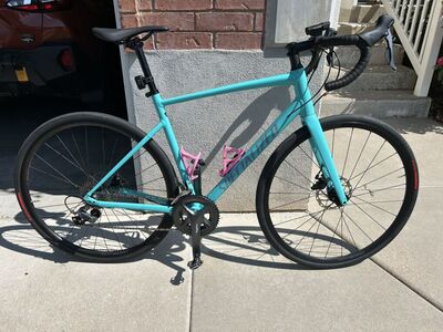 2025 Specialized Allez 56