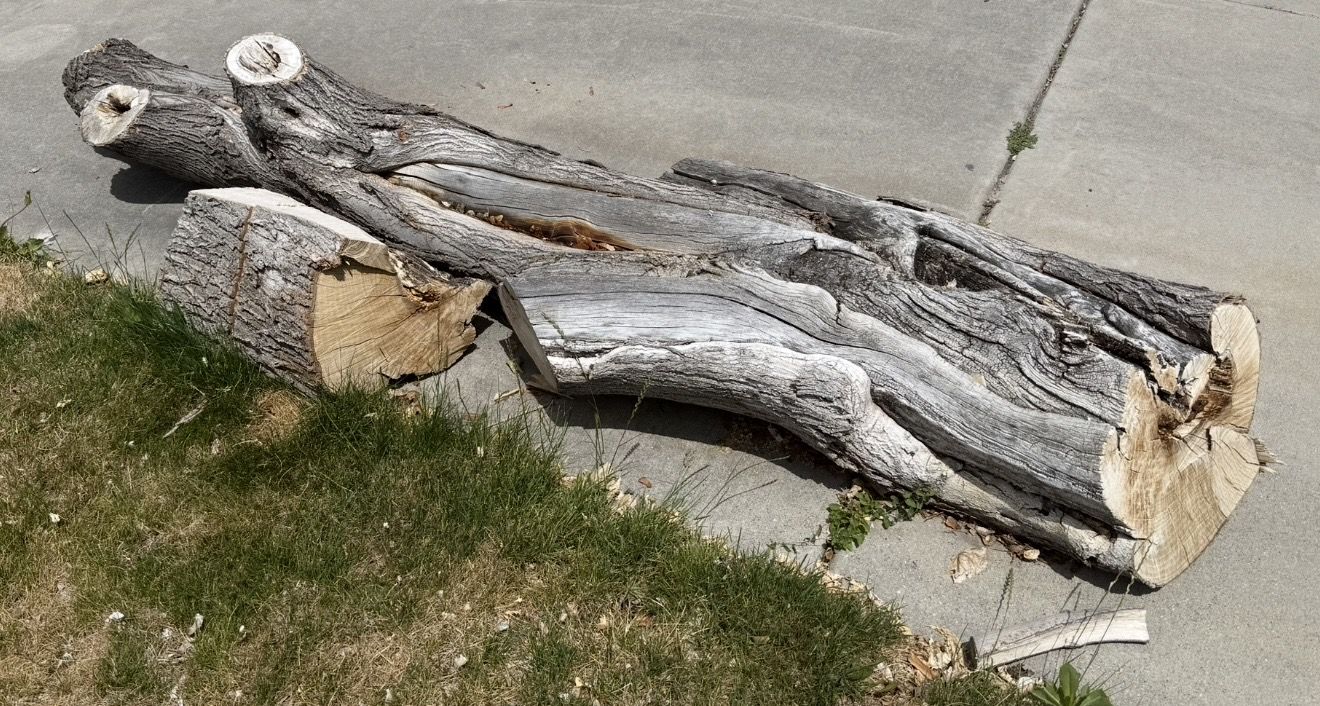 Firewood