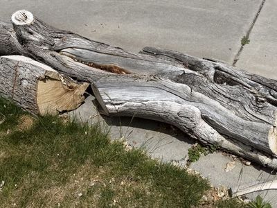 Firewood