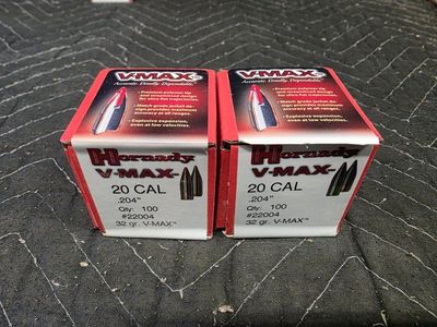 20 Cal Bullets