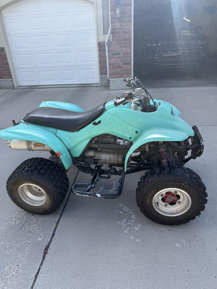 Honda TRX250