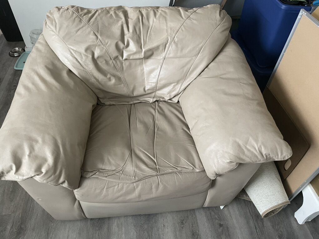 Large Cushioned Chair