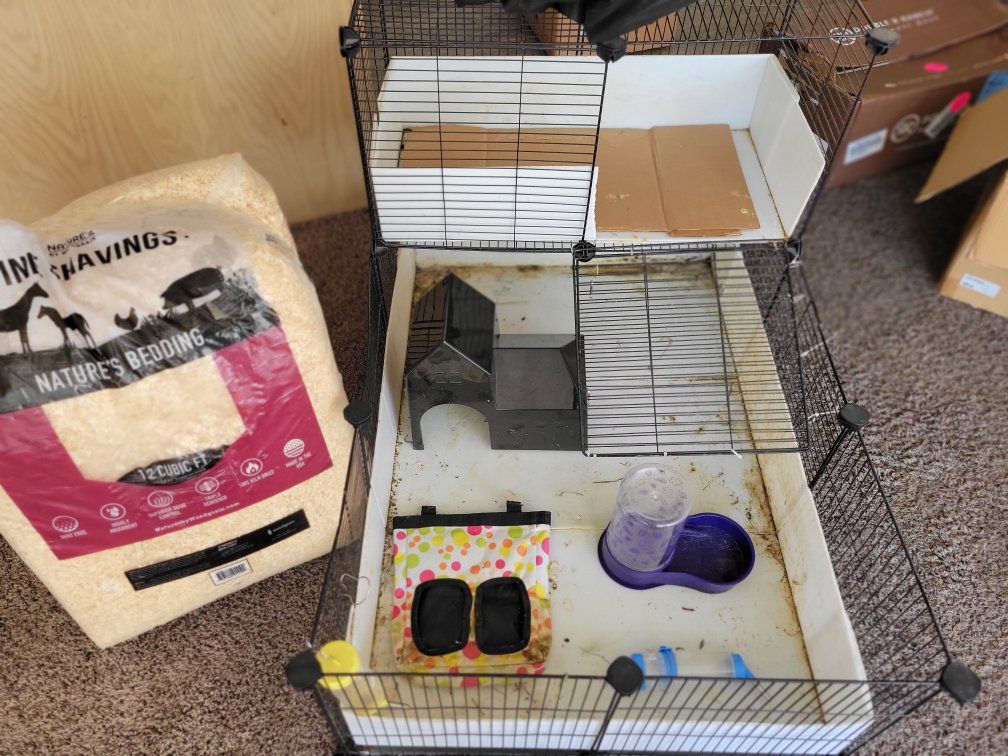 Multi-Level Small Animal Cage Enclosure with Accessories and Pine Shavings Bedding guinea pig hamster