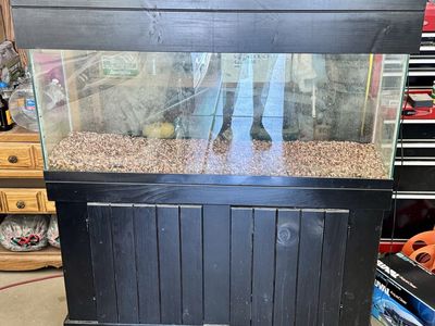 55-Gallon Glass Fish Tank Aquarium with Black Wooden Stand and Gravel