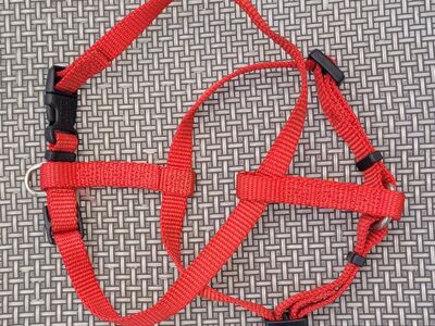 Small Cat/Dog Harness