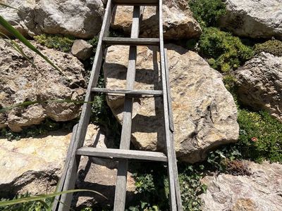 Antique Wooden Cherry Pickers Ladder - Rustic Decorative Garden Accent or Unique Home Decor