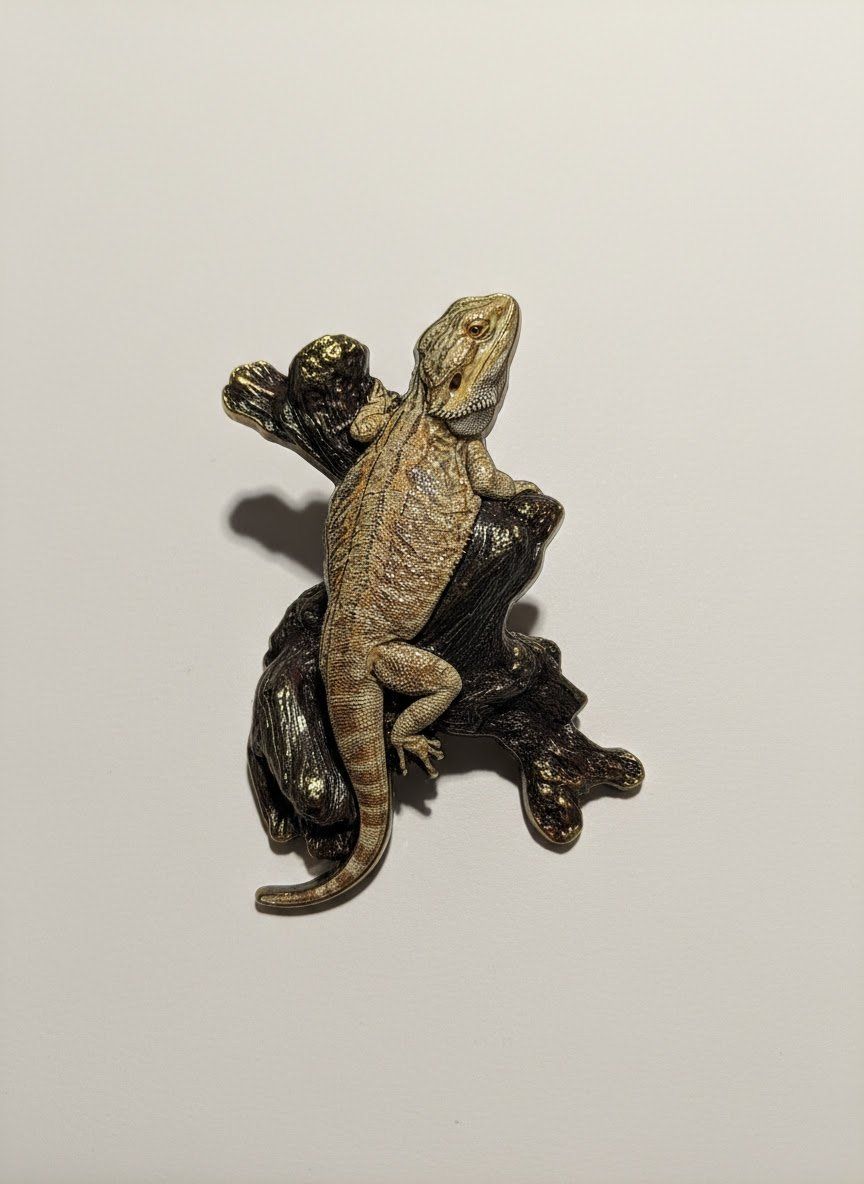 Adult Bearded Dragon DUNE