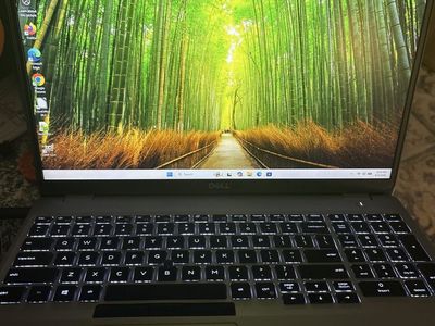 Dell Precision 3550 15.6" Laptop Intel Core i5-10310U 16GB DDR4 256GB SSD Win 11