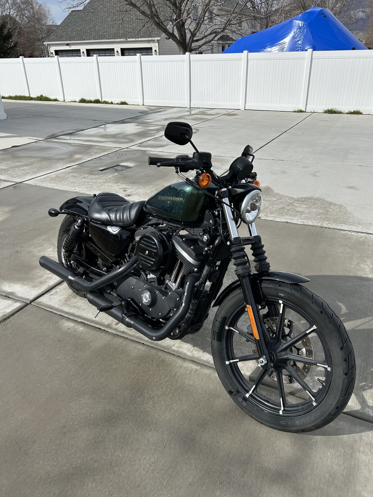 2018 Harley Davidson Iron 883